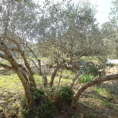 Bella Vista * 卡利